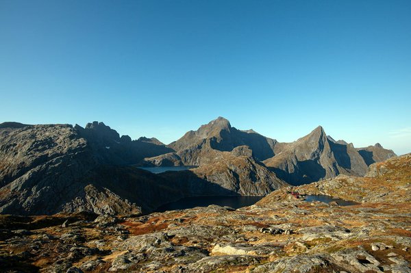 Conseils pour réussir sa séance de musculation
